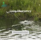 livingobservatory.org livingobservatory.org