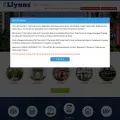 liyans.com