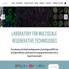 lmrt.mit.edu lmrt.mit.edu