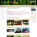 loaches.com loaches.com