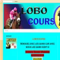 lobocourse.blogspot.com