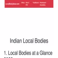 localbodydata.com