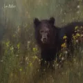 lorimcnee.com lorimcnee.com