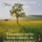 lowefuneralhome.com