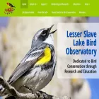 lslbo.org lslbo.org