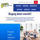 lucsa.id