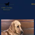 lumisgolden.ch