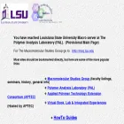 macro.lsu.edu macro.lsu.edu