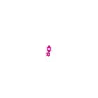 magenta-technology.com magenta-technology.com