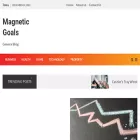 magneticgoals.com