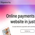 magnetronpay.com