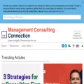 managementconsultingconnection.com