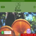 mandspsychedelicss.com