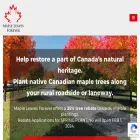 mapleleavesforever.com