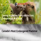 marmots.org marmots.org