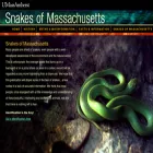 masnakes.org masnakes.org