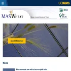 maswheat.ucdavis.edu