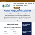 matlabassignmentexperts.com