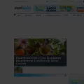 mavikadin.com mavikadin.com
