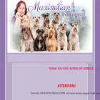 maximilianschnauzers.com maximilianschnauzers.com