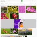 maxpixels.net