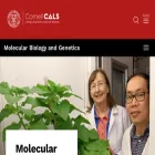 mbg.cornell.edu mbg.cornell.edu