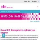 mdbhistopath.com mdbhistopath.com