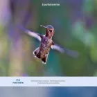 mecware.com