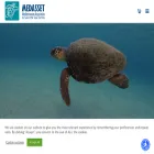 medasset.org