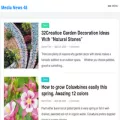 medianews48.com