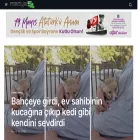 medya54.com