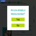 meetmolina.com meetmolina.com