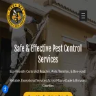megabeepestcontrol.com megabeepestcontrol.com