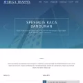 megatraffix.com megatraffix.com