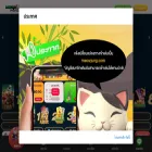 meowkung.com meowkung.com