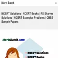 meritbatch.com meritbatch.com