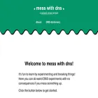 messwithdns.net messwithdns.net