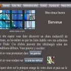 mesvitrauxfavoris.fr mesvitrauxfavoris.fr