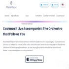 metamusic.ai
