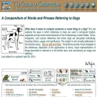 metaphordogs.org