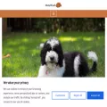 metawoofs.com metawoofs.com