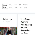 michaelleva.com