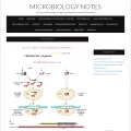 microbiologynotes.com
