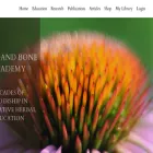 millsandboneacademy.com