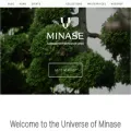 minasewatches.ch