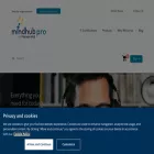 mindhubpro.com mindhubpro.com