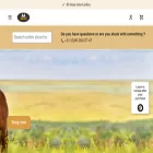 minihorsestore.com minihorsestore.com