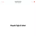 minyaturtugla.com