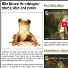 mister-toad.com mister-toad.com