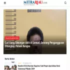 mitrariau.com